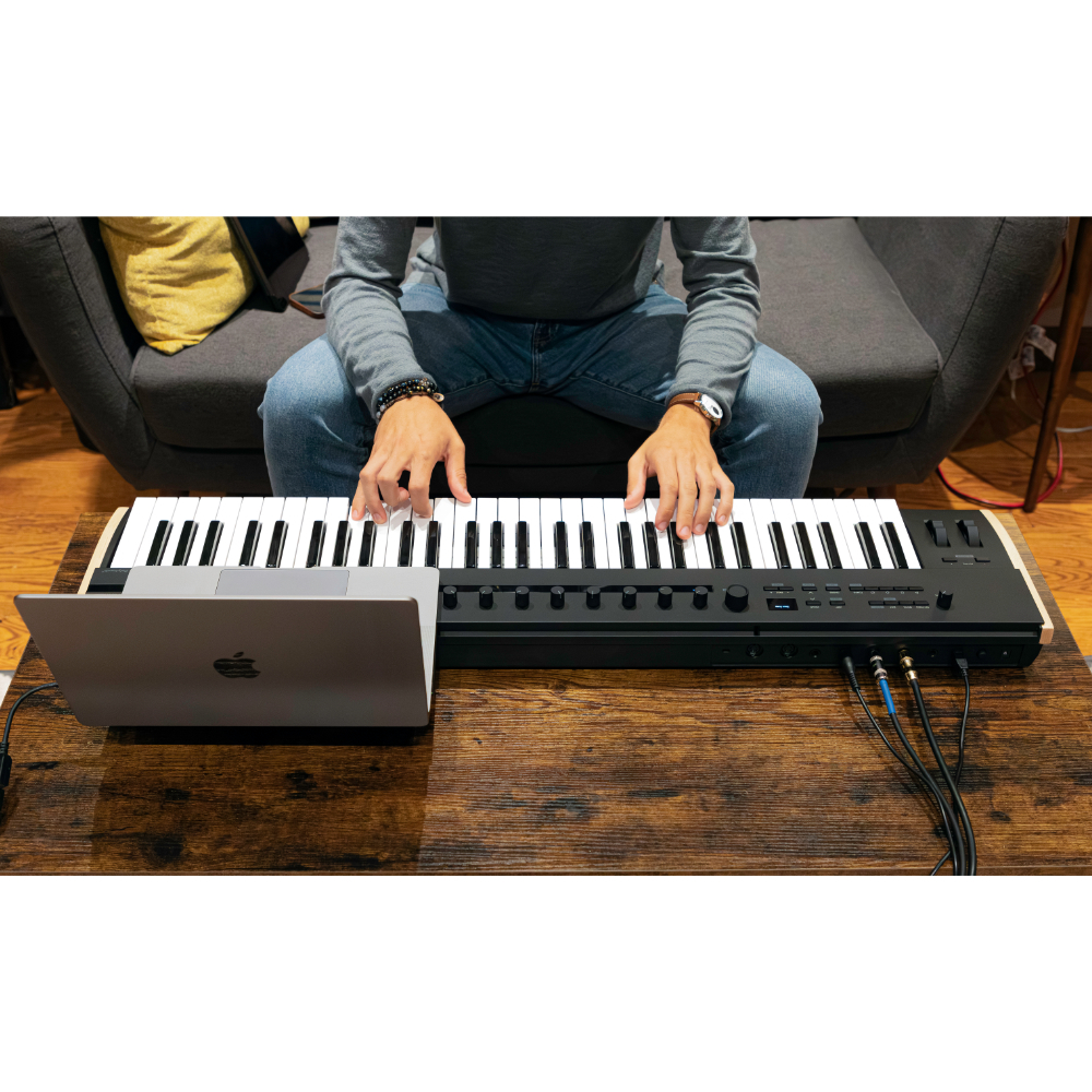 KORG コンパクト MIDI キーボード microKEY2-49〔49鍵モデル