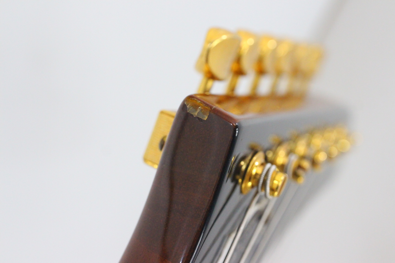 Burny REX-80（中古）【楽器検索デジマート】