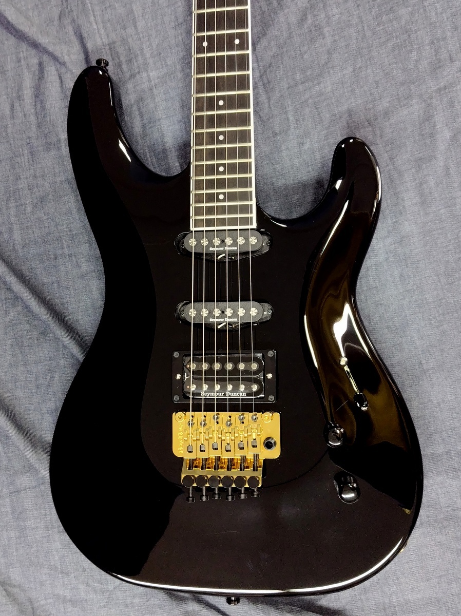 Aria Pro II RS-CUSTOM BK(Black)（B級特価）【楽器検索デジマート】