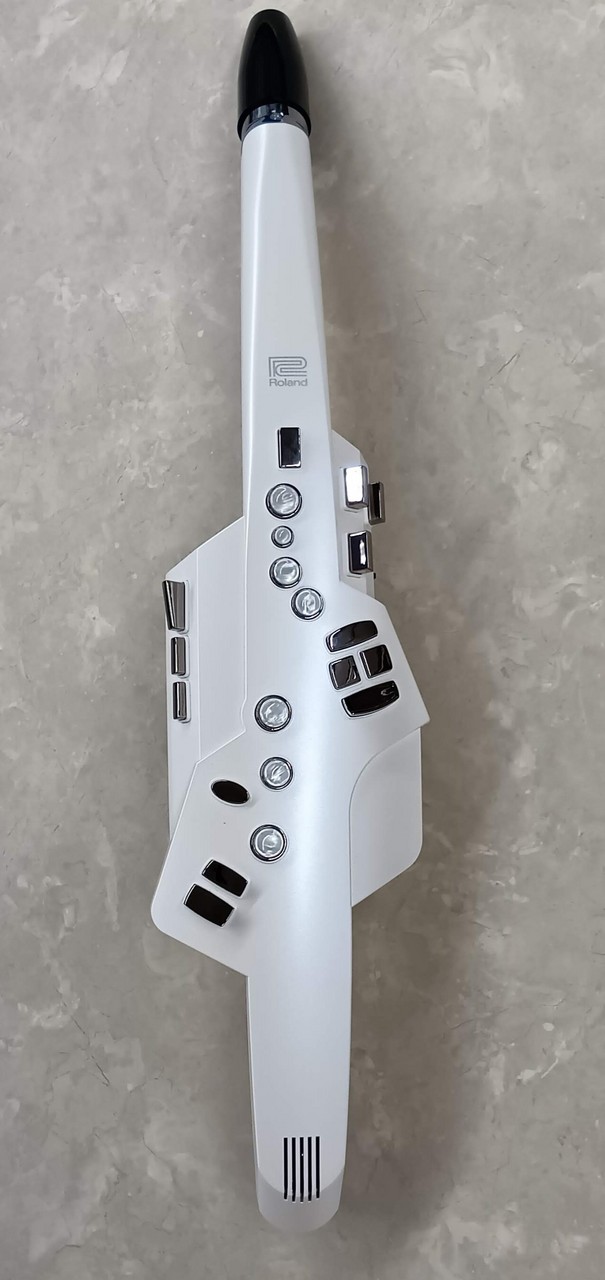 その他 Roland AE-10 Amazon | Roland Aerophone AE-10G Graphite Black