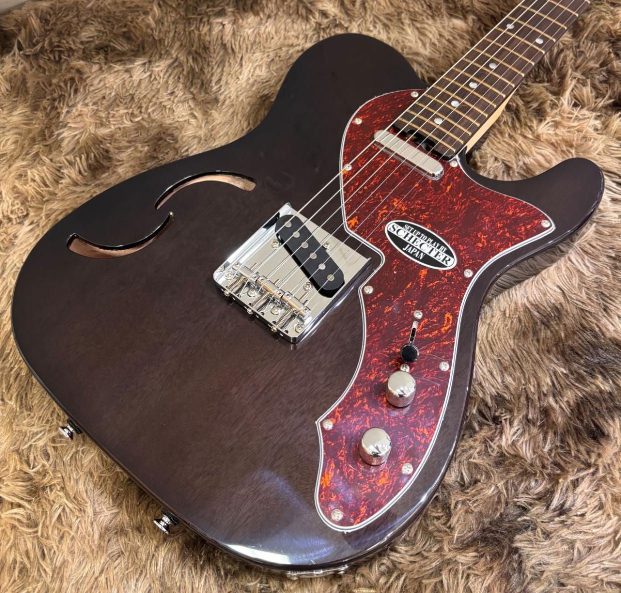 SCHECTER OL-PT-TH/STBK (See Thru Black) 【SPOTモデル】（新品/送料
