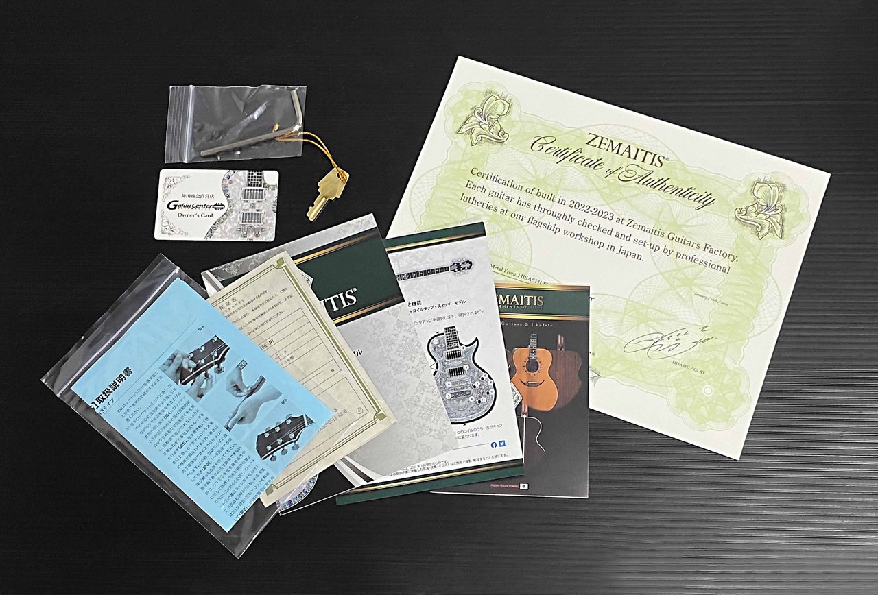 Zemaitis THE PORTRAIT Metal Front HISASHI Signature Model Natural