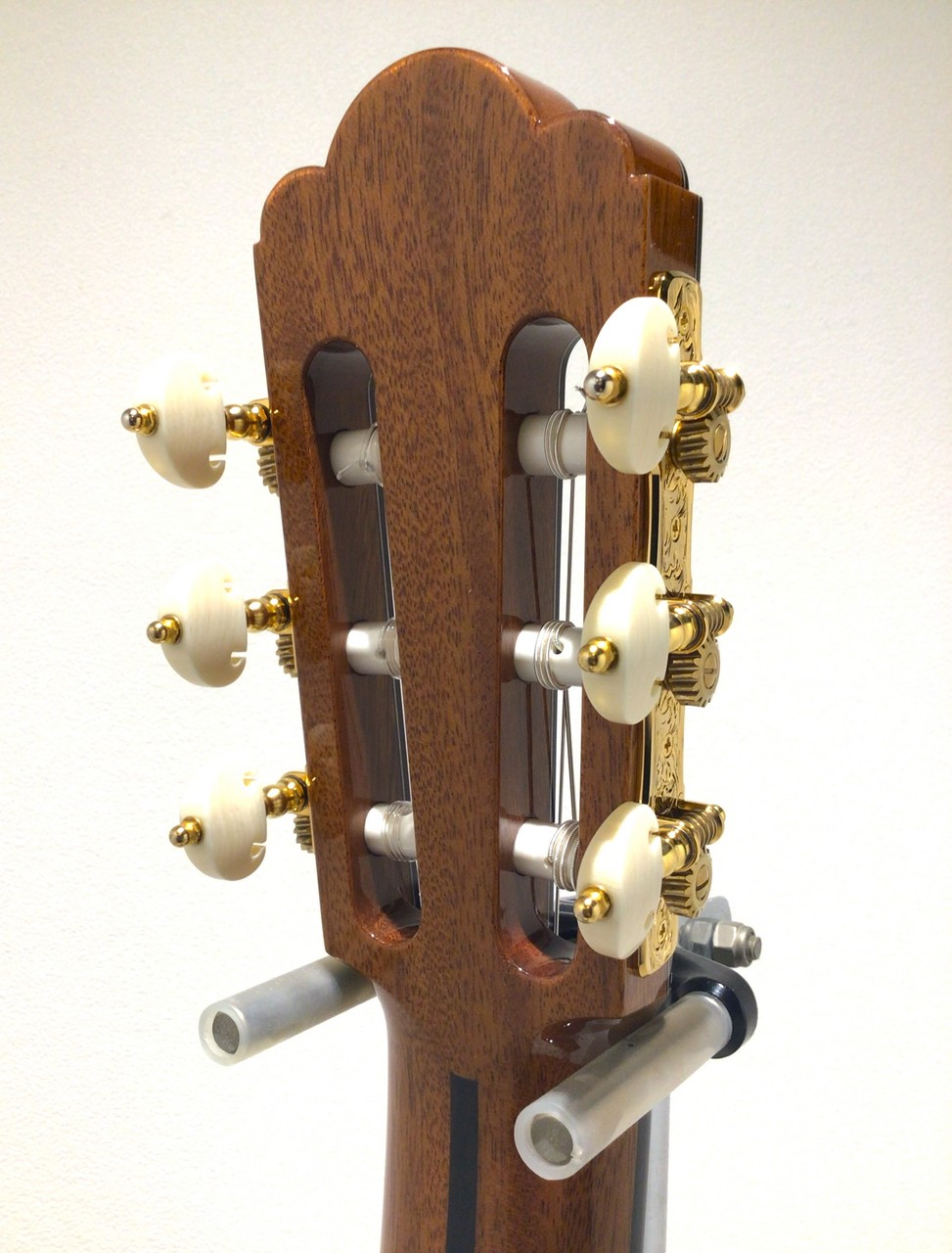 ASTURIAS RENAISSANCE/S（新品/送料無料）【楽器検索デジマート】