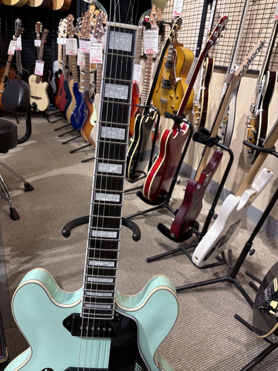 Seventy Seven Guitars EXRUBATO-ZEBRA FINCH（新品/送料無料