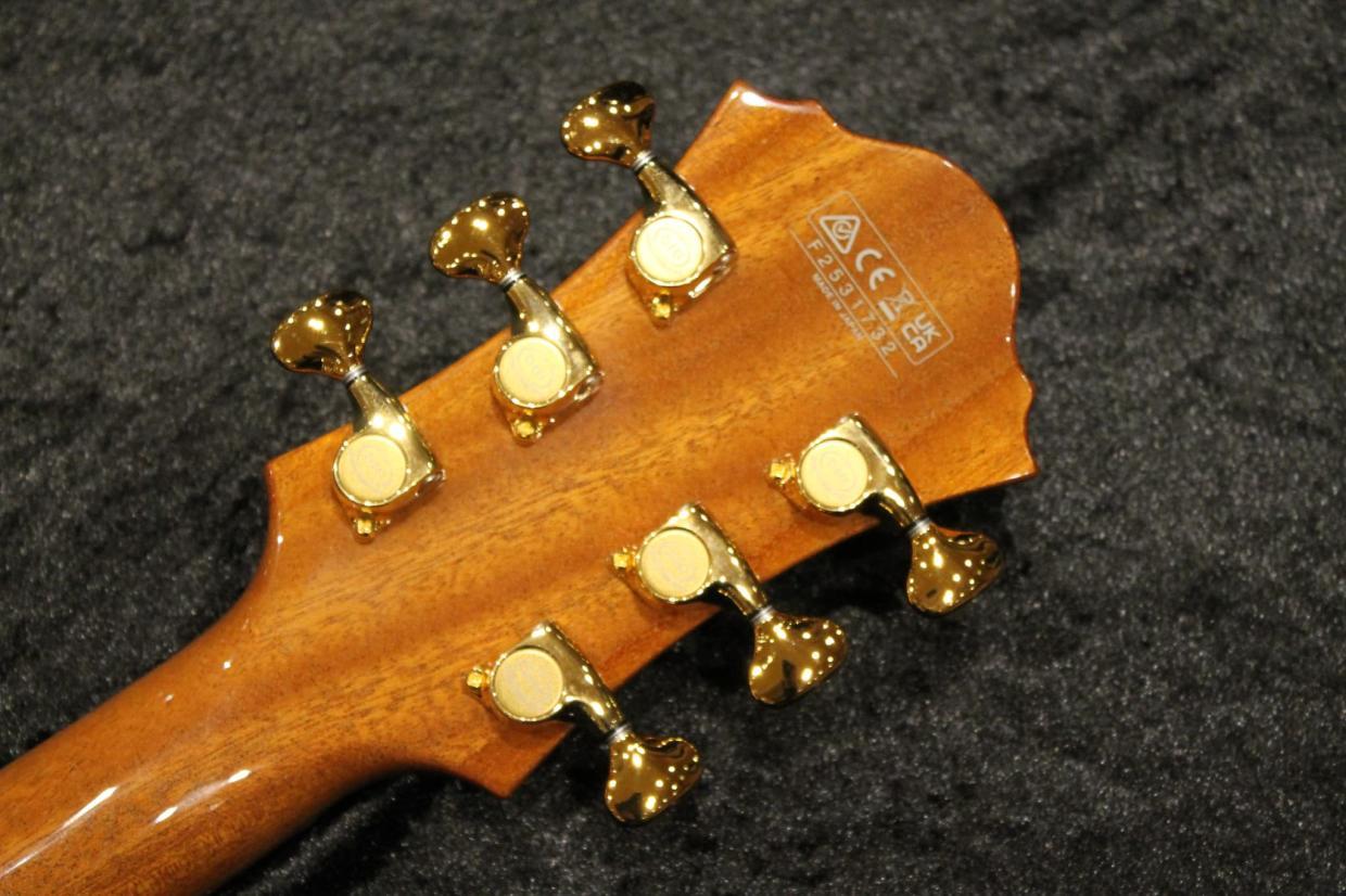 Ibanez PM200 / パットメセニー シグネチャーモデル（新品/送料無料