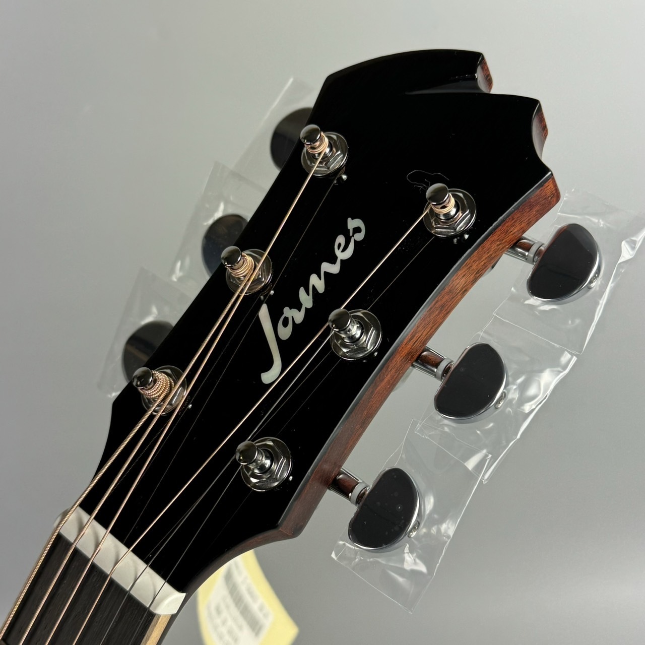 James ジェームス JS600EVSBエレアコ ソフトケース・新品弦付き - ギター