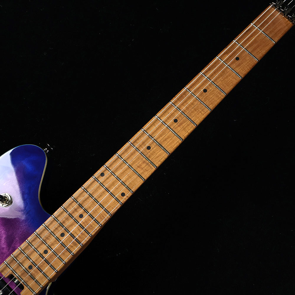 EVH Wolfgang WG Standard QM Northern light ウルフギャング