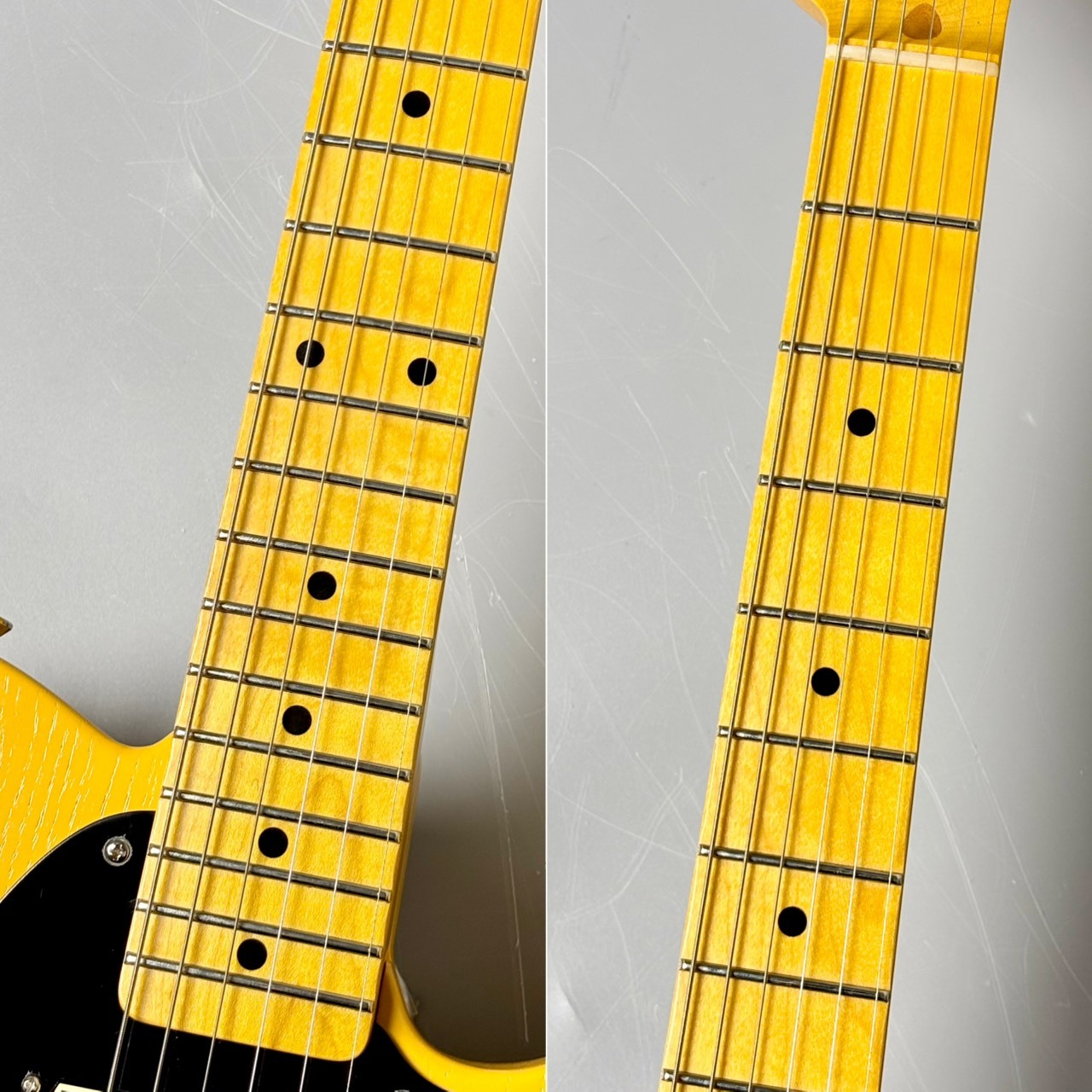 KING SNAKE Sidewinder CC -Butterscotch Blonde- #0229 【異端児TL