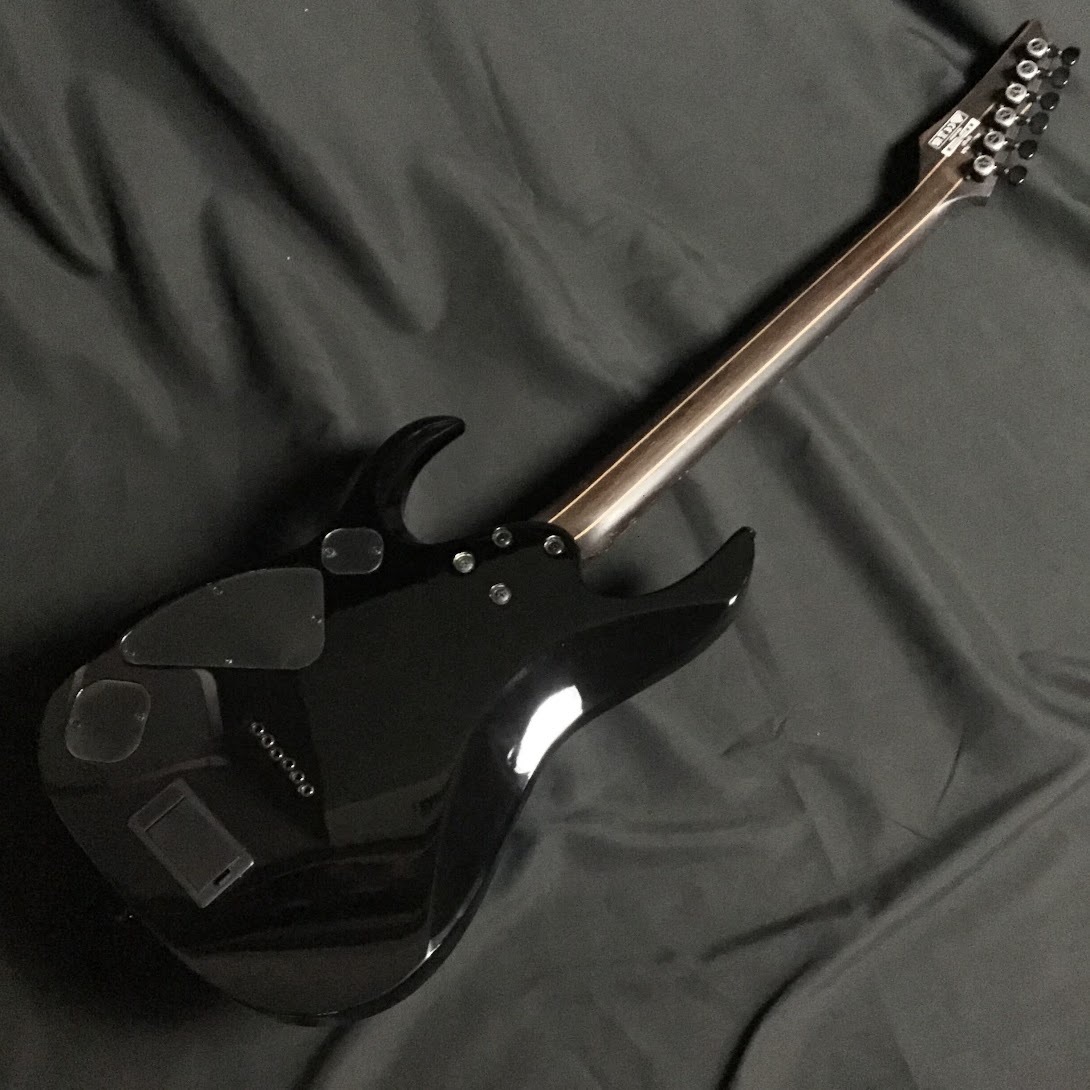 Ibanez RGD61ALA Midnight Tropical Rainforest（新品/送料無料