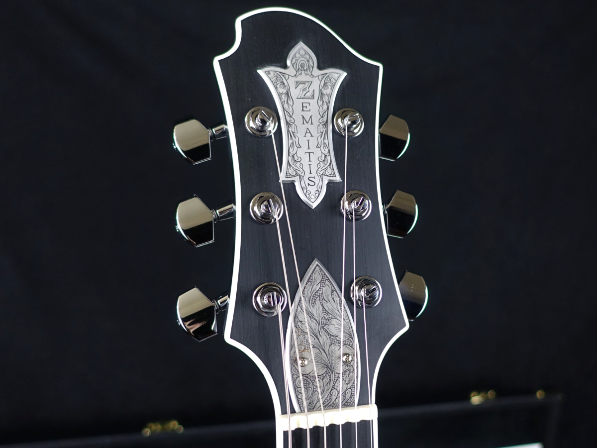 Zemaitis THE PORTRAIT Metal Front HISASHI Signature Model Black