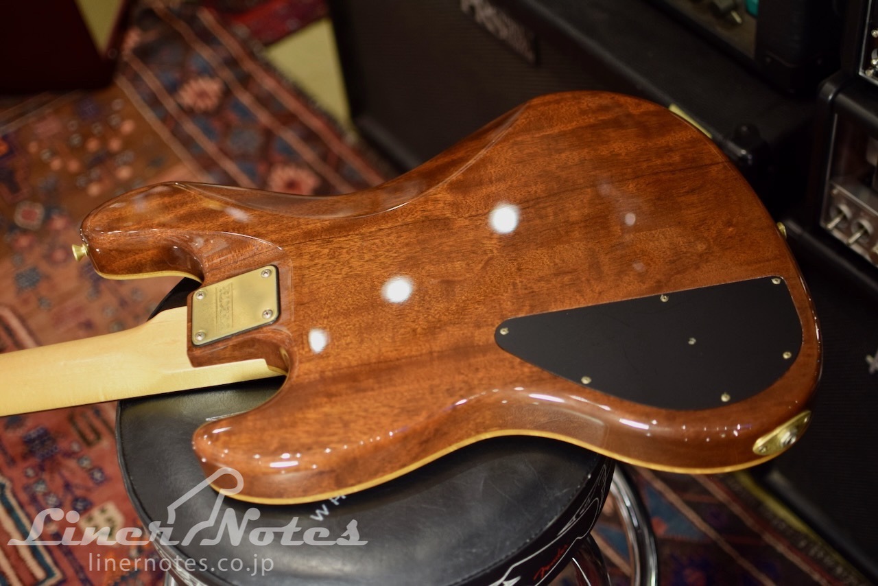 SCHECTER Platinum Wood Series PW-EX-B-BL (Natural)（中古）【楽器