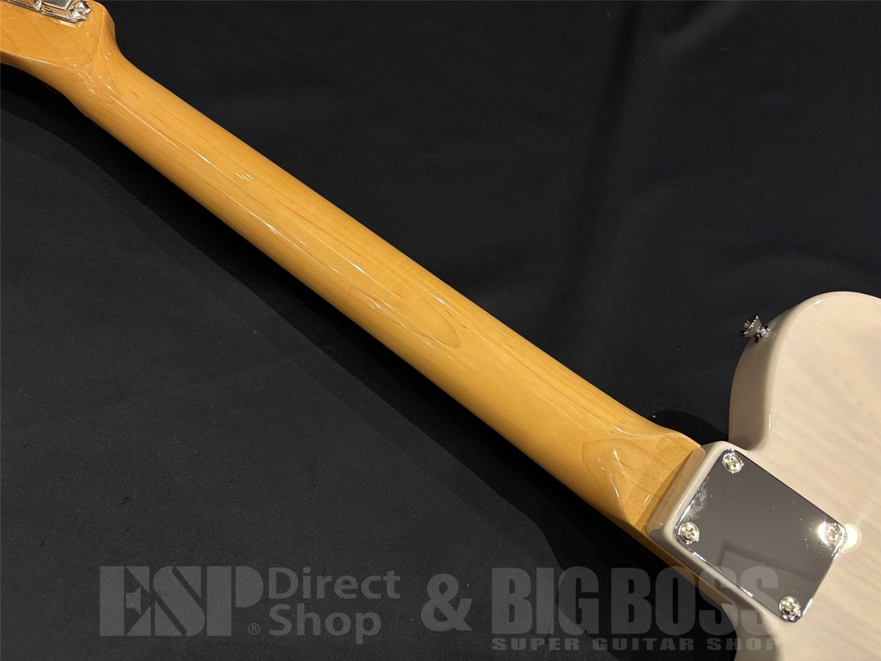 EDWARDS E-TE-ASM / Blond（新品/送料無料）【楽器検索デジマート】