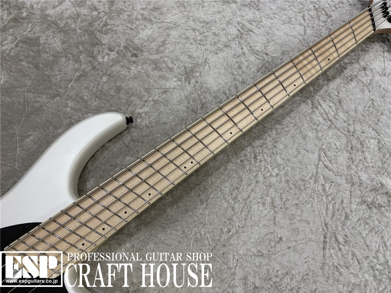 DINGWALL 5弦エレキベース ホワイト 検索結果一覧 | 島村楽器オンラインストア