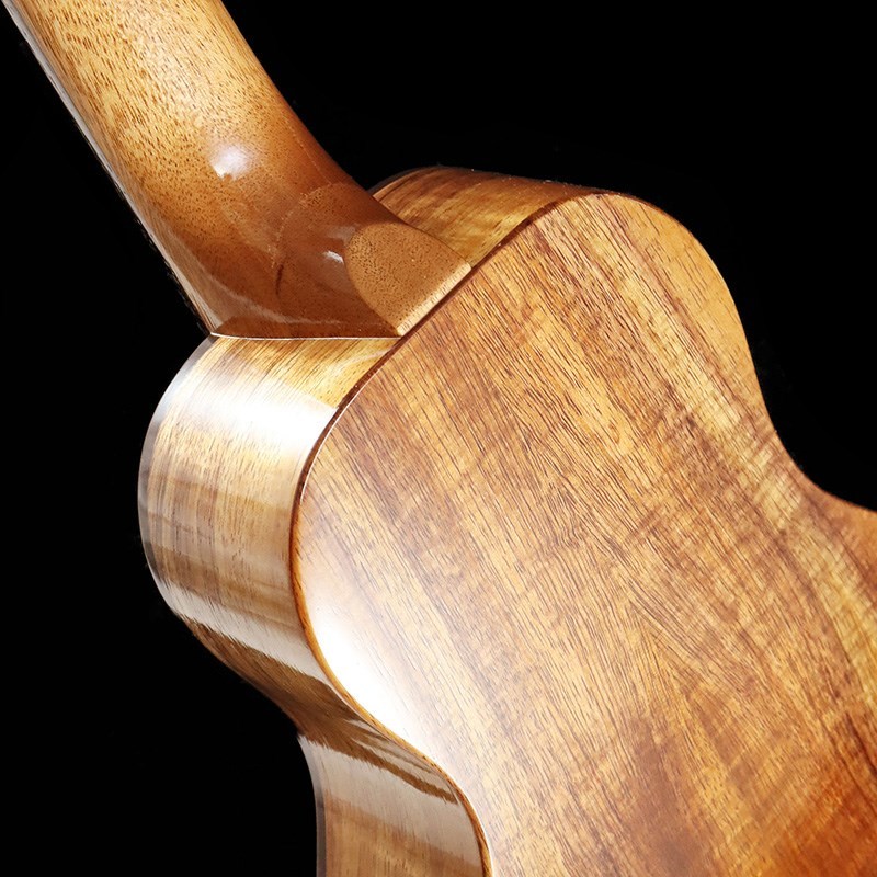 FUJIGEN(FGN) FGN Acoustic FUS-TC [Concert] フジゲン（新品