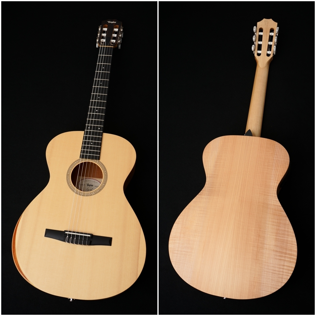 【美品】Taylor EG-12e LTD エレアコ アコースティックギター】Taylorの新たな12弦エレアコ “254ce