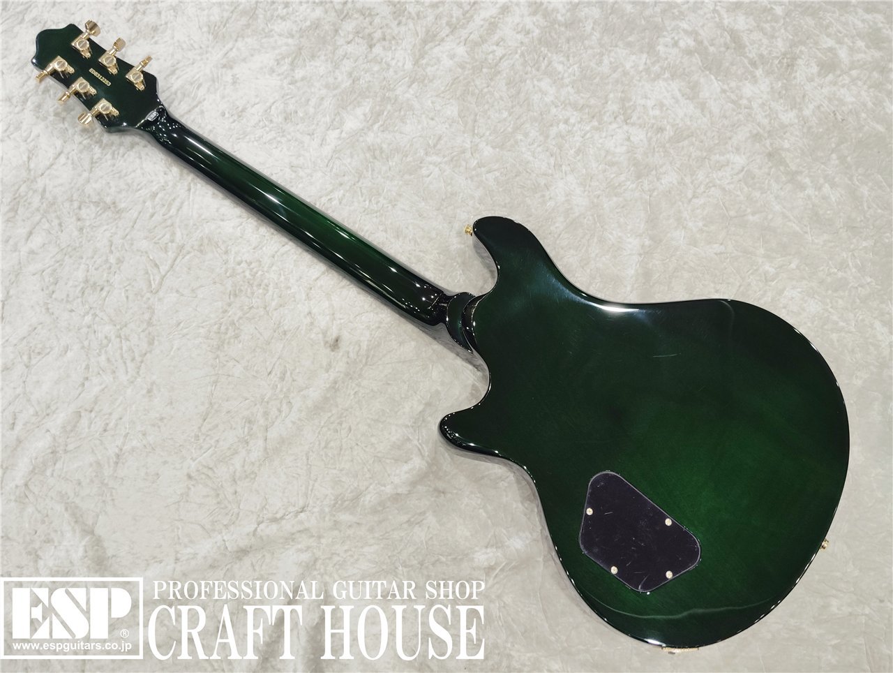 EDWARDS E-U-HL2 / Malachite Green（新品/送料無料）【楽器検索