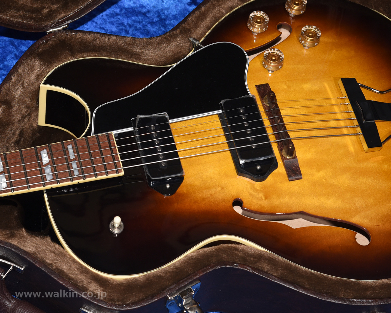 Archtop Tribute ATC175D Classic（新品）【楽器検索デジマート】