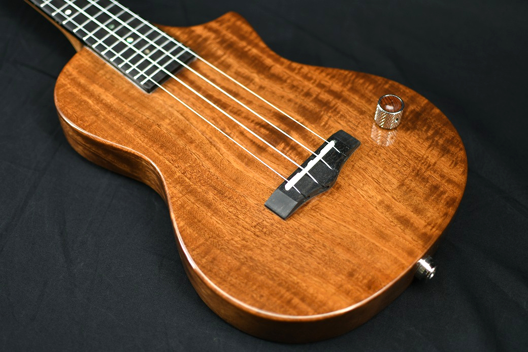 BIG ISLAND EUL-ACA-N/EB Concert LongNeck（新品）【楽器検索デジマート】