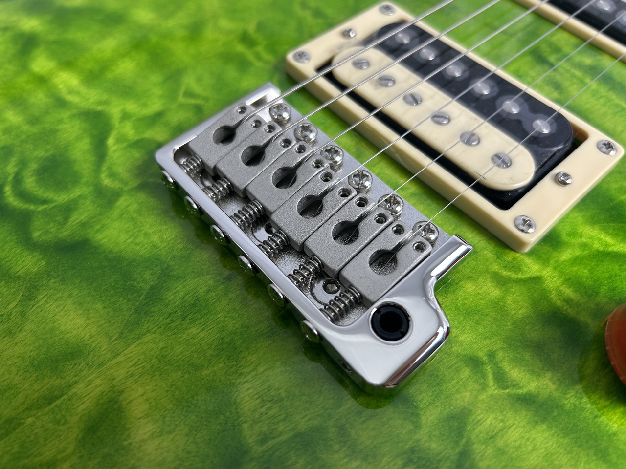 Paul Reed Smith(PRS) SE Custom 24 Quilt Package (Eriza Verde