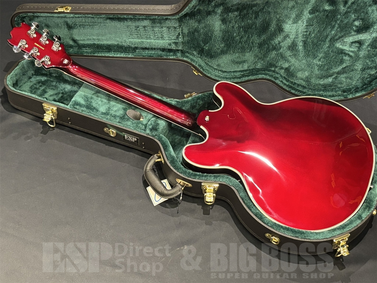 EDWARDS E-TORROCCO-CTM / METALLIC BORDEAUX（新品/送料無料）【楽器