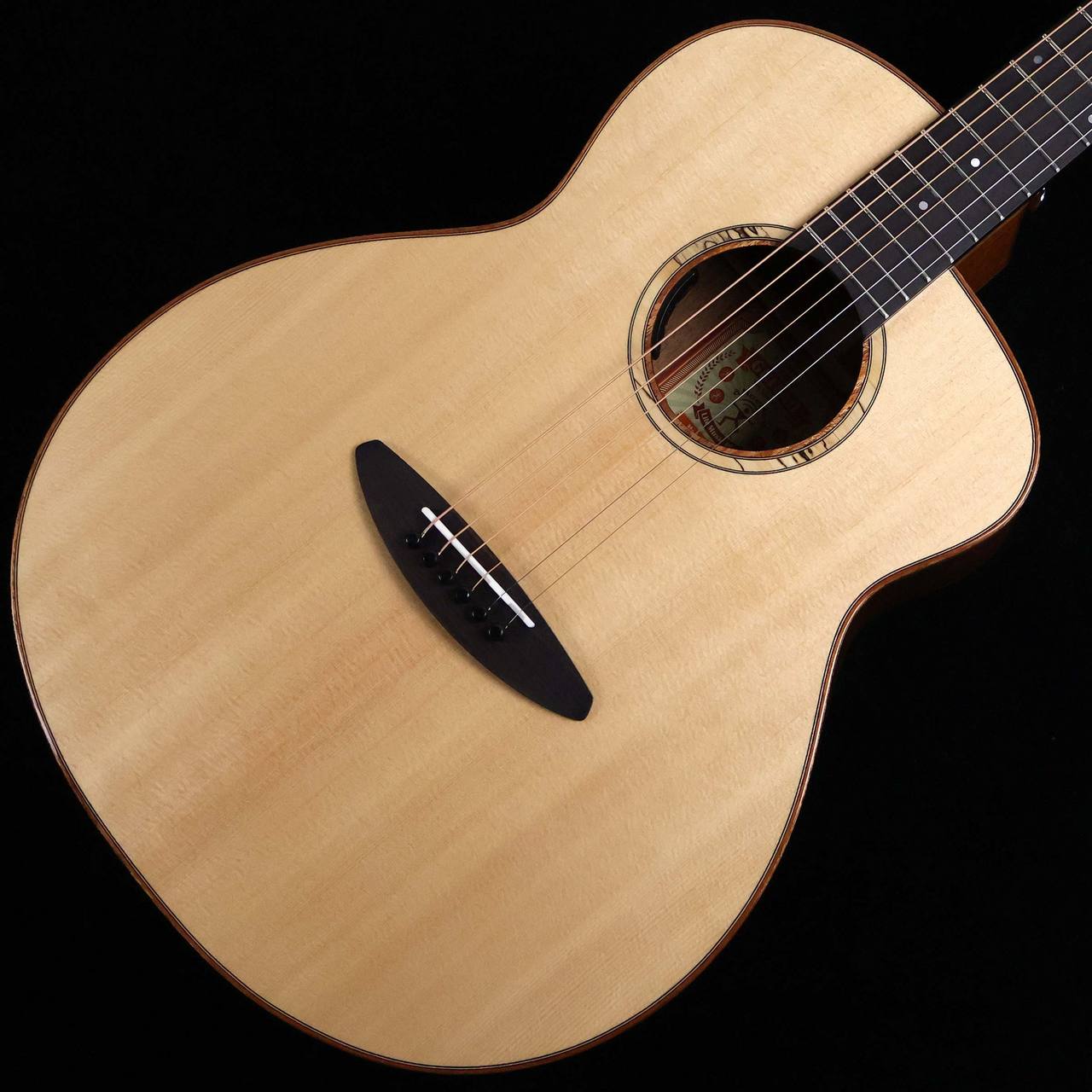 aNueNue aNN-LF230E S/N：AN08079 【エレアコ】 【未展示品】（新品