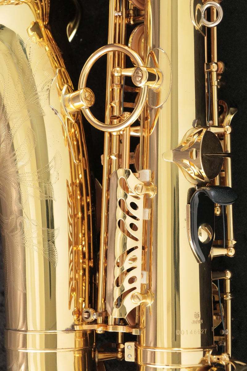 YANAGISAWA　ヤナギサワ A-880 ELIMONA アルトサクソフォン 楽天市場】【中古】 Yanagisawa ヤナギサワ / Alto A-880 ELIMONA SN