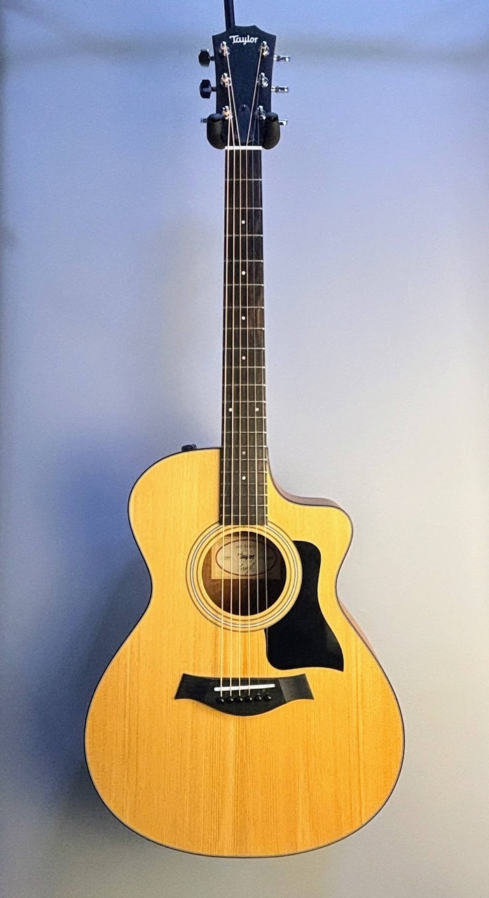BLUERIDGE エレアコギター動作確認は楽器店で行っています。 BLUERIDGE エレアコギター動作確認は楽器店で行っています