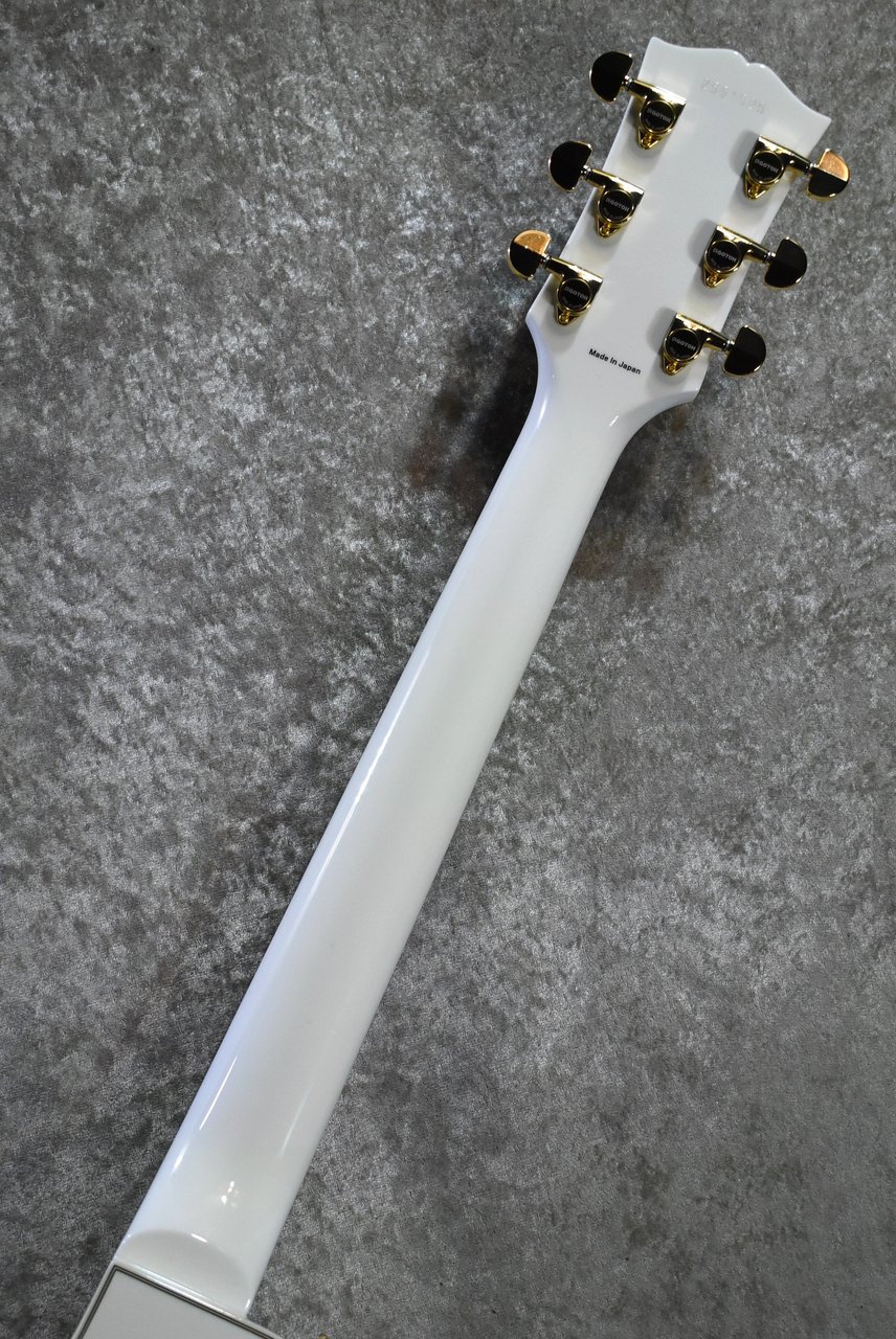 Tokai LC-201S SW #2551525【ちょいクリーム色個体、ディープ