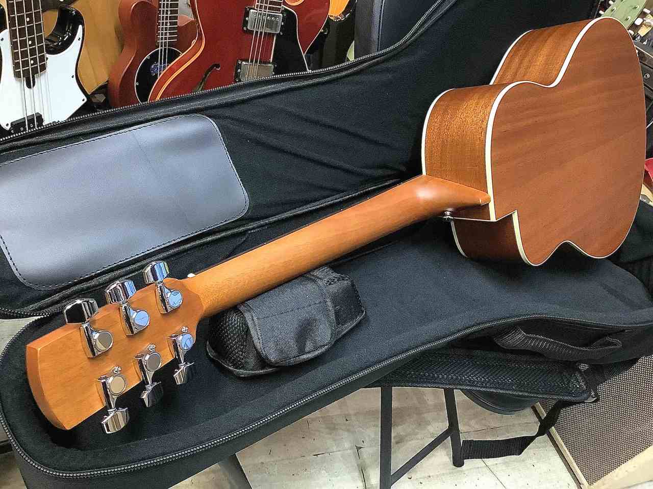 aNueNue aNN-M2 アヌエヌエ M2 ミニギター マイク搭載（新品特価