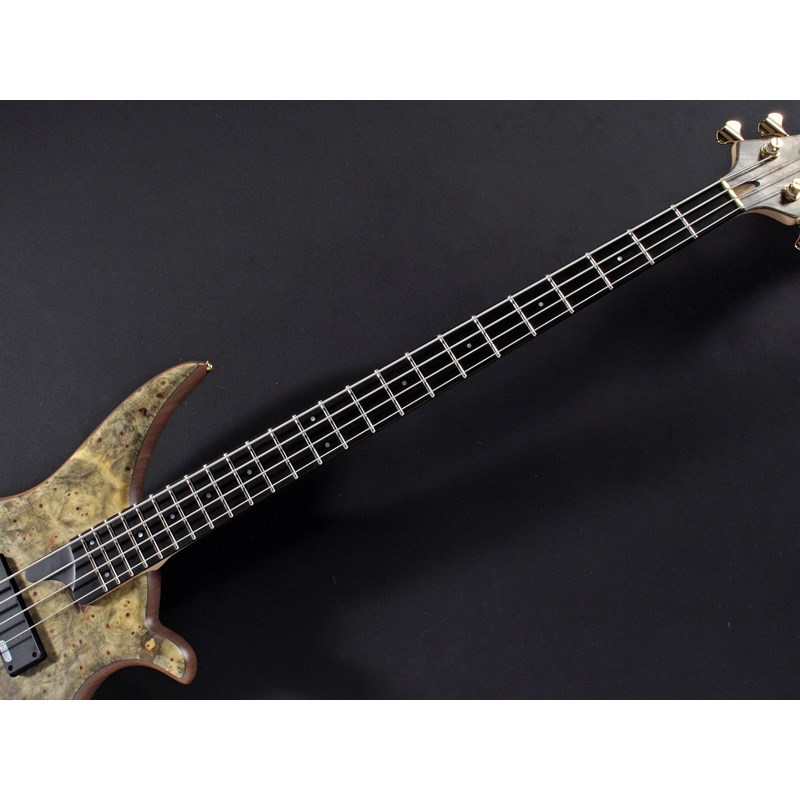 Tune TWB-4 EX Buckeye Burl/WN 35inch w/JP-4 【Ikebe MUSIC 春