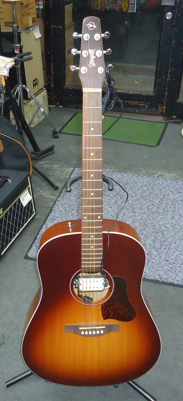 Seagull Entourage Autumn Burst（新品特価）【楽器検索デジマート】