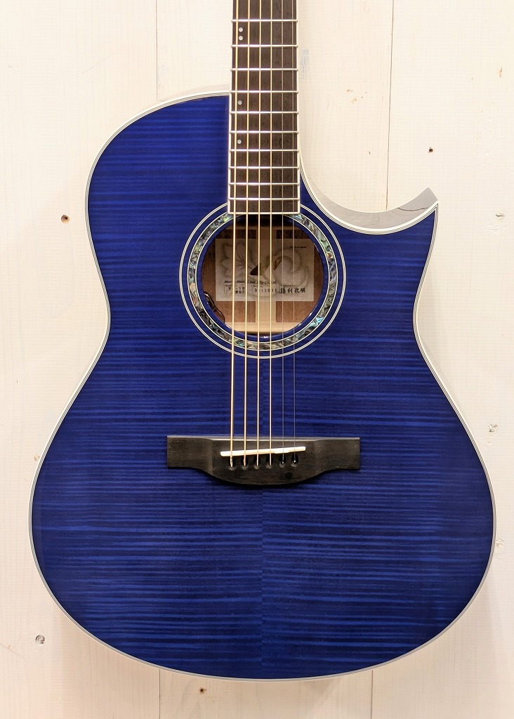 Morris TC-16 SBU 【L.R.Baggs Element搭載】（新品）【楽器検索