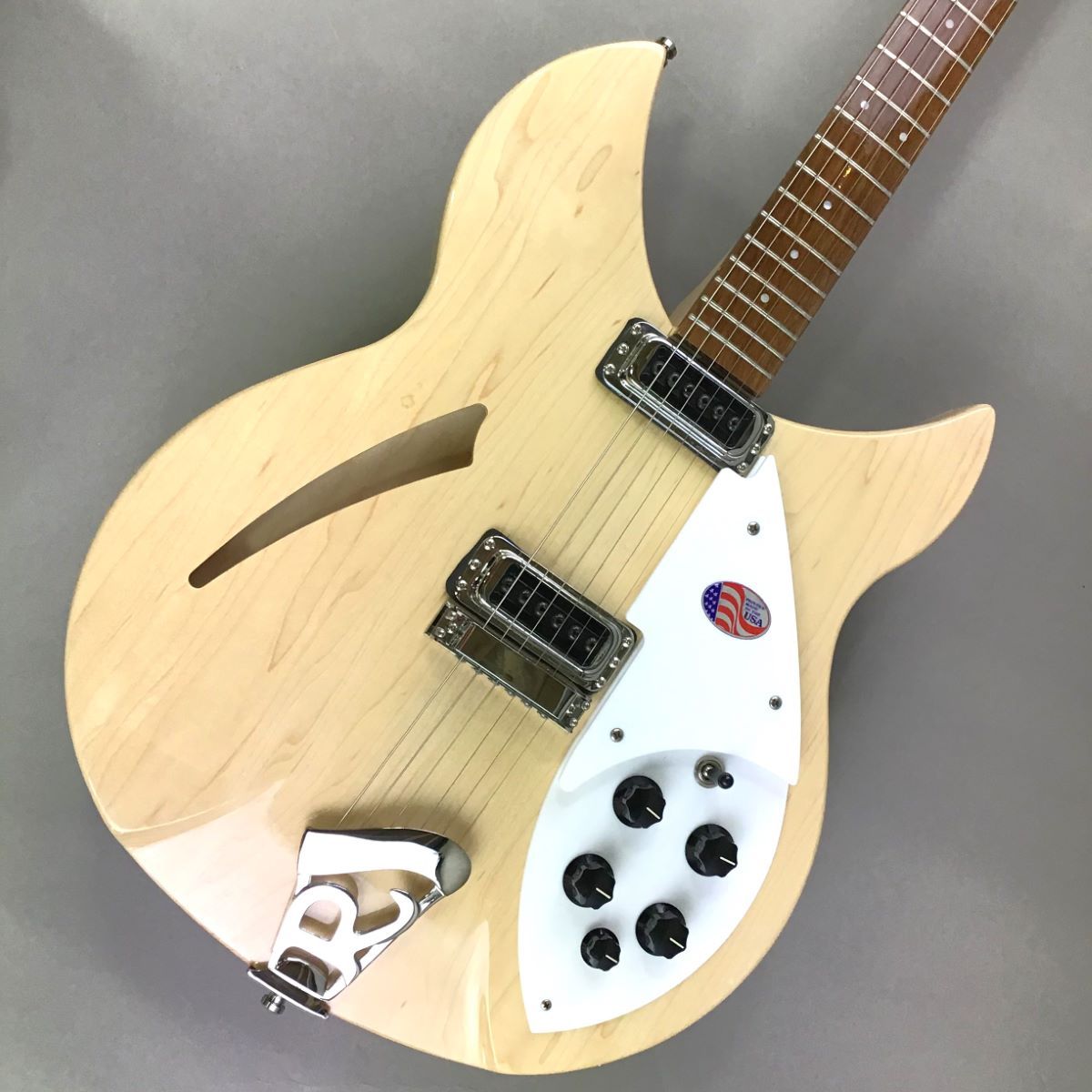 Rickenbacker 330【現物画像】