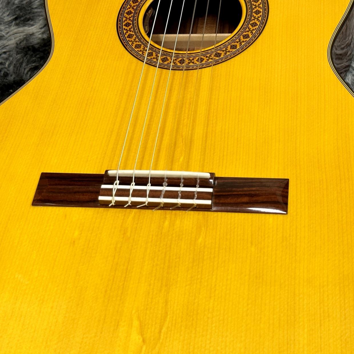 K.Yairi CE-3 NS -Nylon Electric Series-（新品/送料無料）【楽器検索