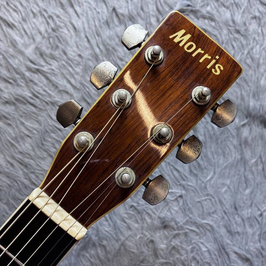 【ヴィンテージMorris MD-515】ジャパニーズ・クラフトマンシップの逸品 Morris MD-515（中古/送料無料）【楽器検索デジマート】