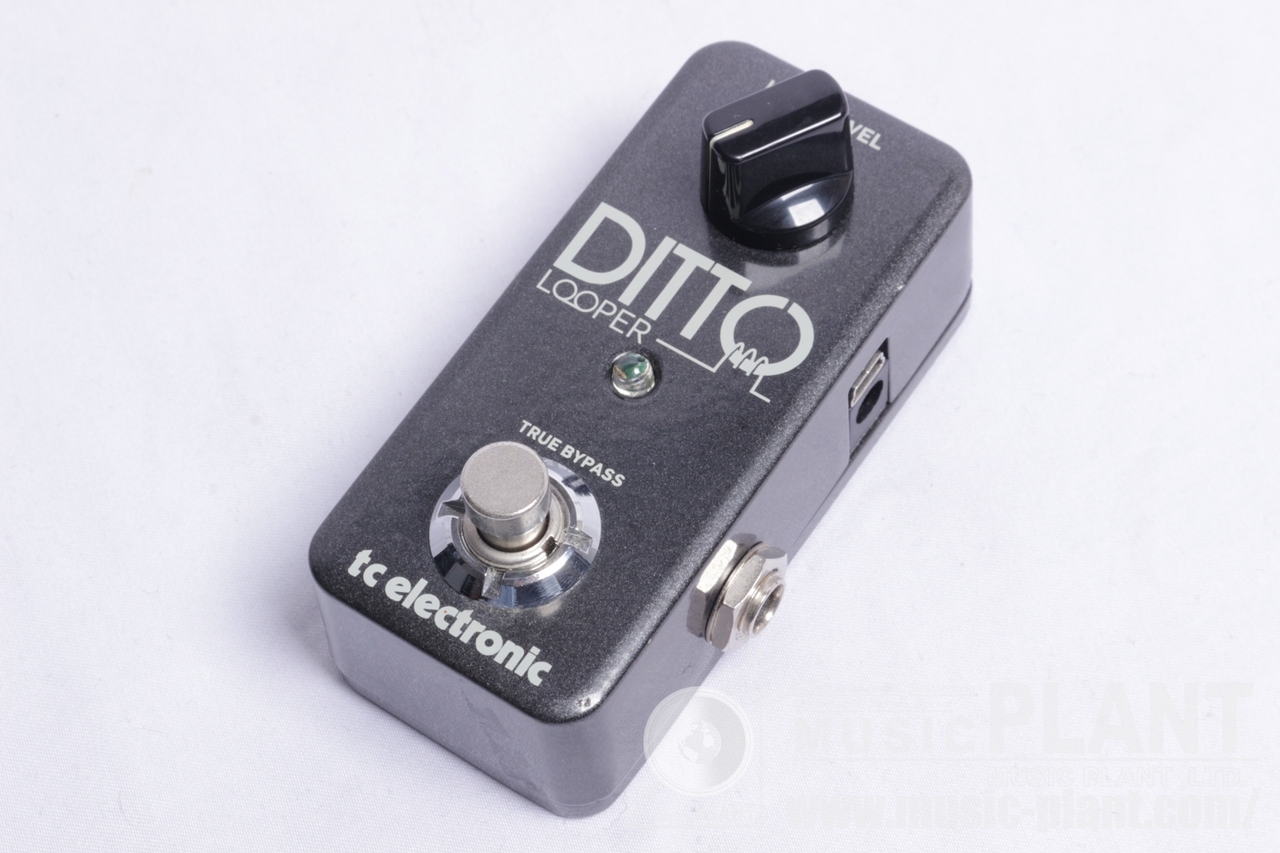 tc electronic DITTO LOOPER（中古）【楽器検索デジマート】