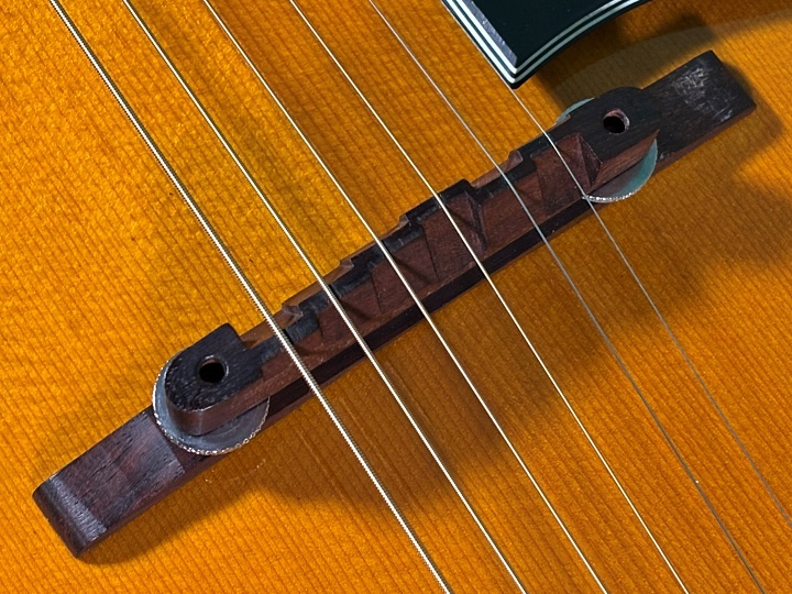 CHAKI P70 1974年製造 CHAKI P-70|ドルフィンギターズ