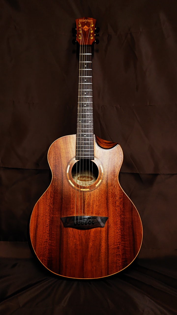 Washburn 【2025年 最後のクリスマスセール】Washburn WCGM55K Washburn 【2025年 最後のクリスマスセール】Washburn WCGM55K