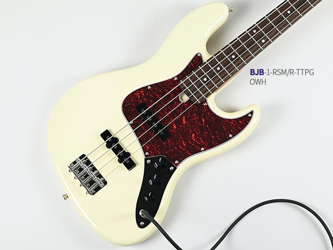 Bacchus BST-2-RSM/R-TTPG BLK 初心者14点セット Bluetooth搭載