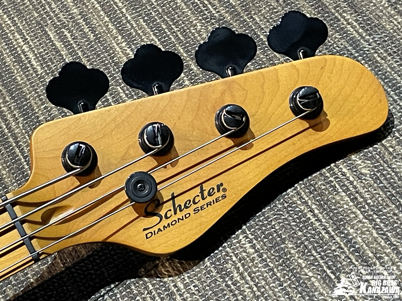 SCHECTER MODEL-T SESSION【希少なTLベース!】 （新品/送料無料