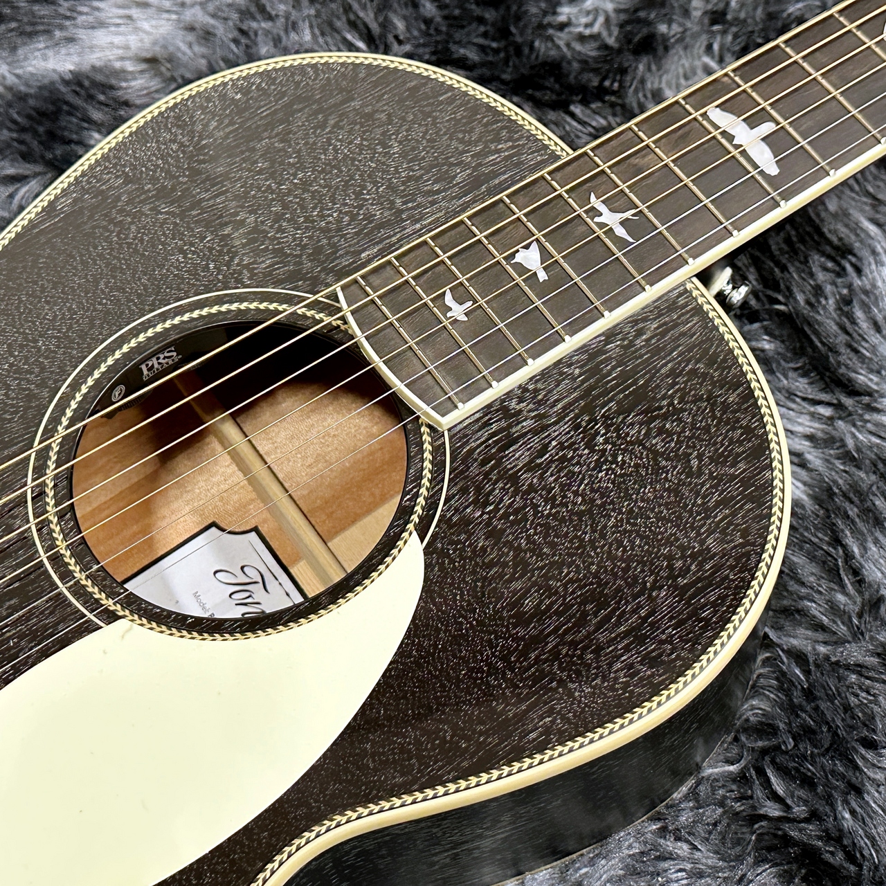 Paul Reed Smith(PRS) SE P20E Parlor Dog Hair【NEWカラー