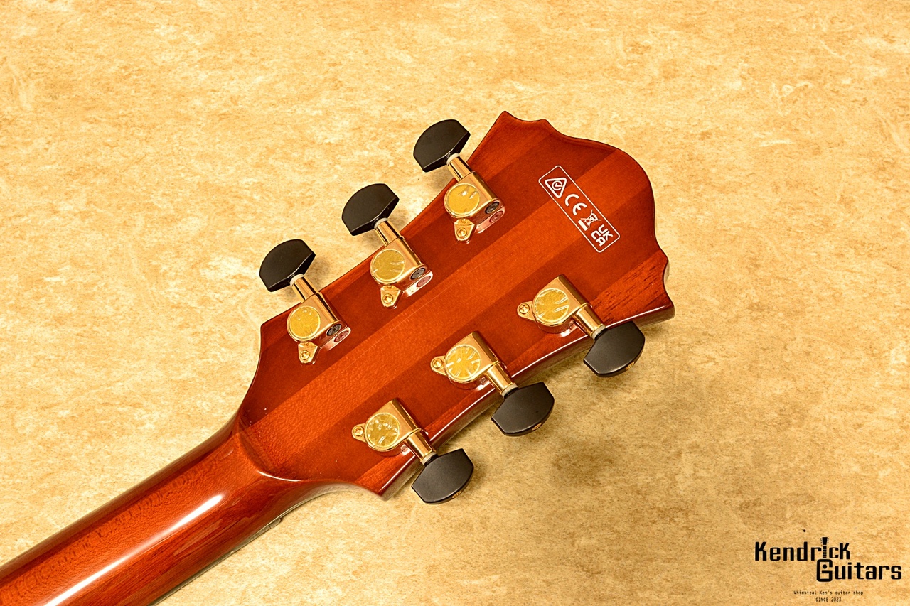 Ibanez AFC151-DA w/OHC（中古/送料無料）【楽器検索デジマート】