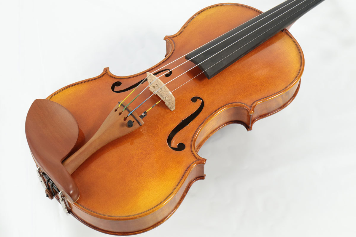 Carlo Giordano VS-2 バイオリンセット 4/4 Violin Set 入門 初心者 