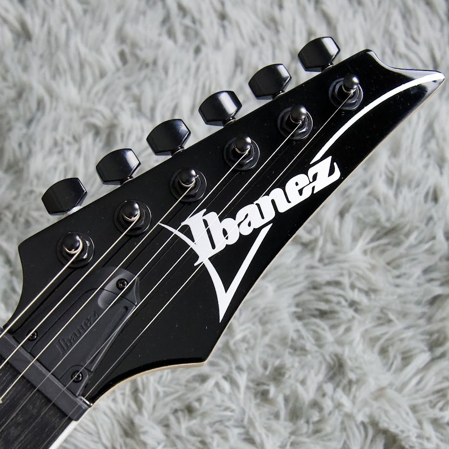 Ibanez RGV250 BK ブラック エレキギター ストラトキャスタータイプ