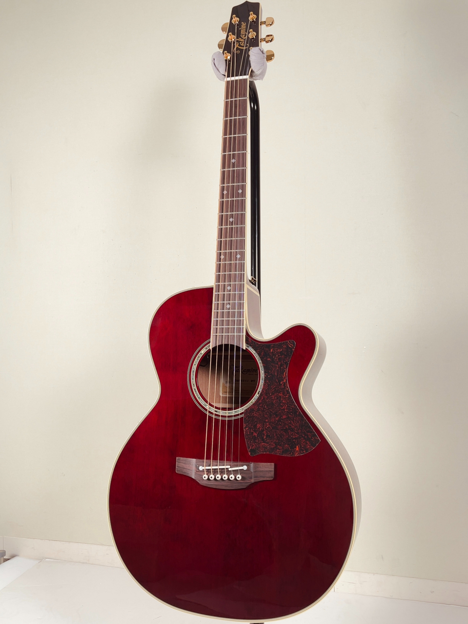 Takamine 【New】DMP551C WR【エレアコ】【日本製】（新品/送料