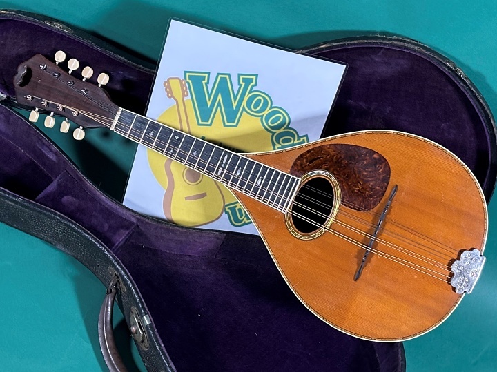 Martin STYLE-C（ビンテージ）【楽器検索デジマート】