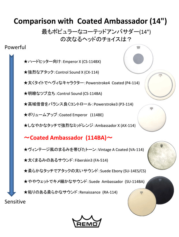 REMO PS312BE PINSTRIPE ドラムヘッド ピンストライプ 【12インチ