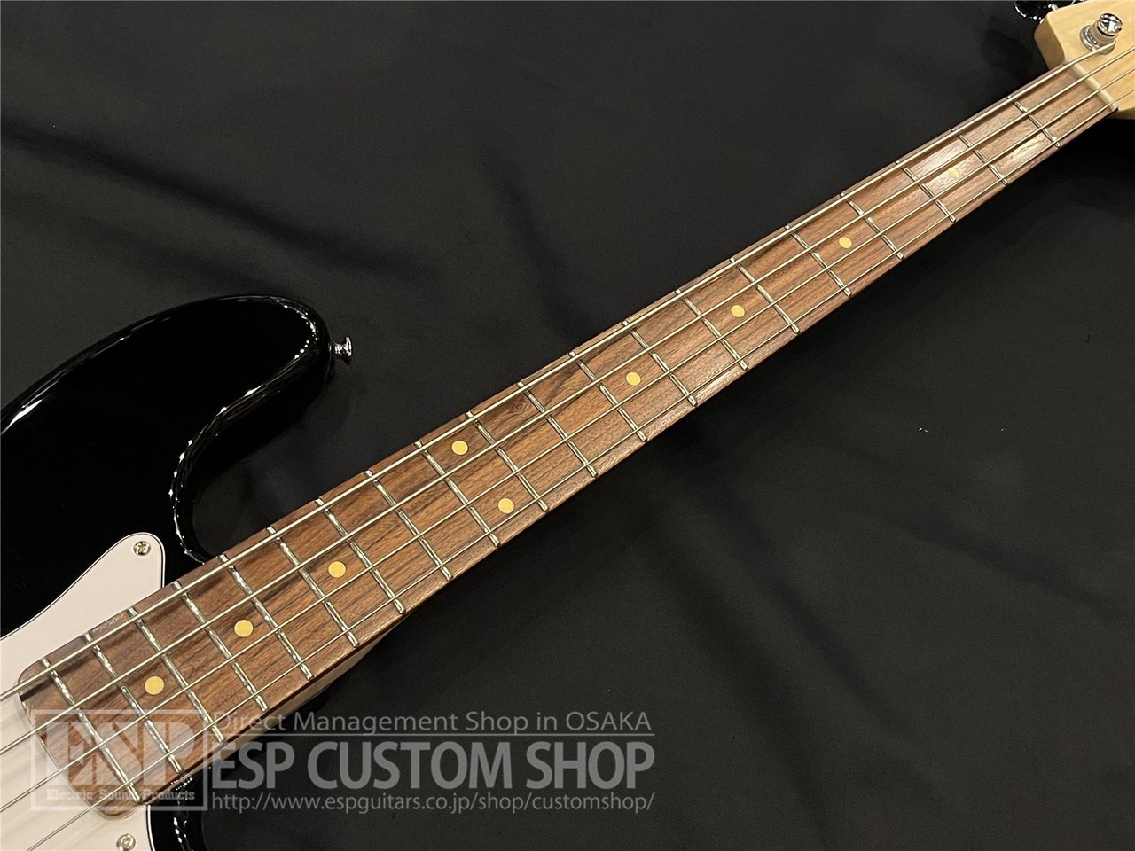 GrassRoots G-JB/R Black（新品/送料無料）【楽器検索デジマート】