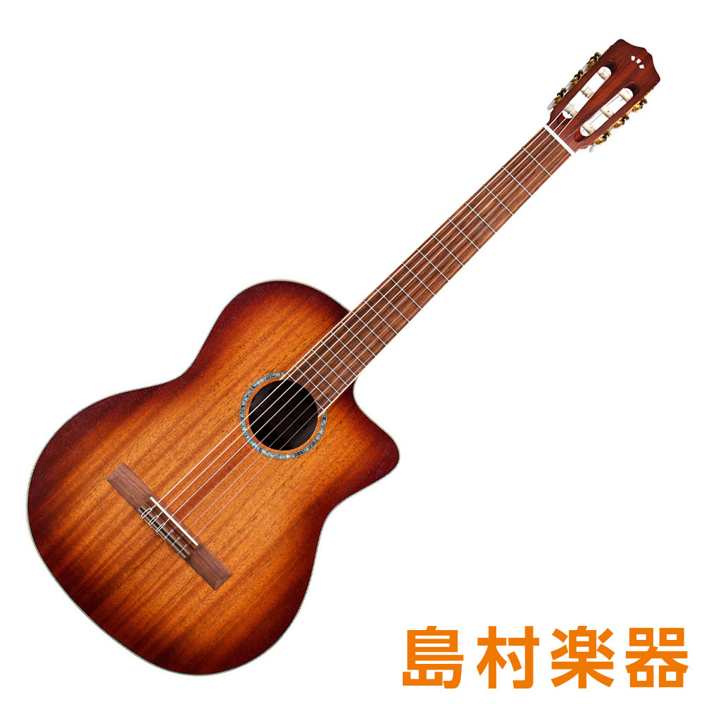 ギター エレガットギター(値下げしました) - 香川県の楽器