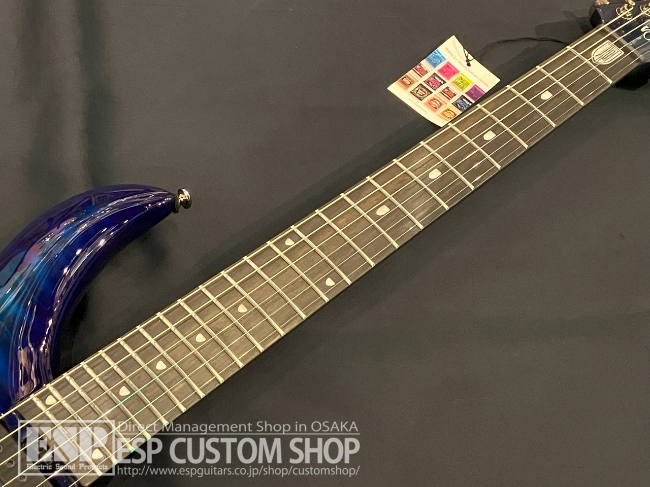 Sterling by MUSIC MAN MAJ200 Cerulean Paradise（新品特価